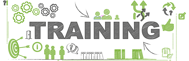 Everything You Need to Know About Training Plan for Your Employee